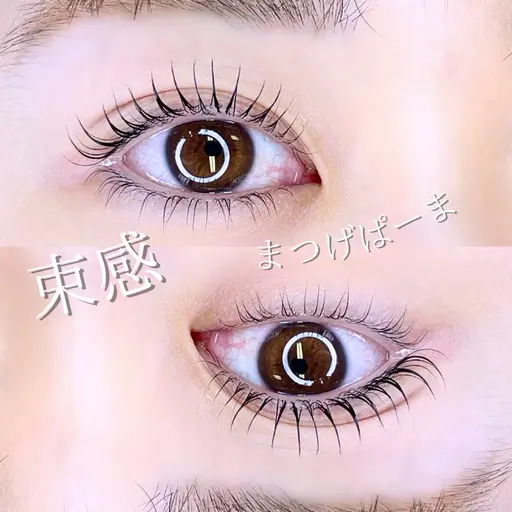 【当日限定】⚠️U18学生証提示必須⚠️限定ミニモ学割👩🏻🎓 まつげパーマ👀 ¥2200-