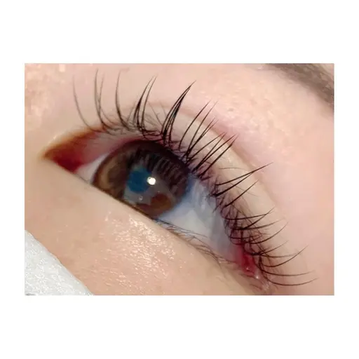 🌈ご新規様限定🌈フラットラッシュ120本¥4500✨