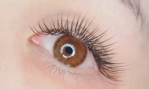 👀【話題】フラットラッシュ✨120本