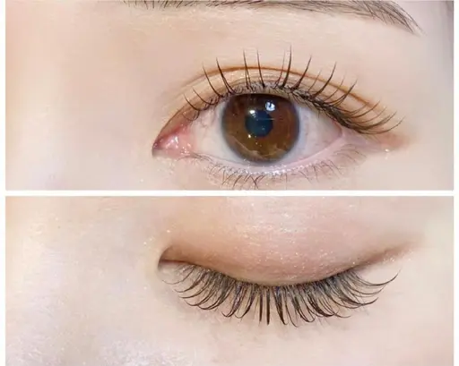 12月22日空きあり 人気ナンバーワン フラットラッシュ 100 本