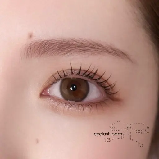 まつ毛パーマ🪄〈練習モデル〉