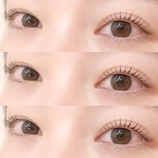 2月2日(月)10時限定🕊️まつげパーマ🤍ྀི