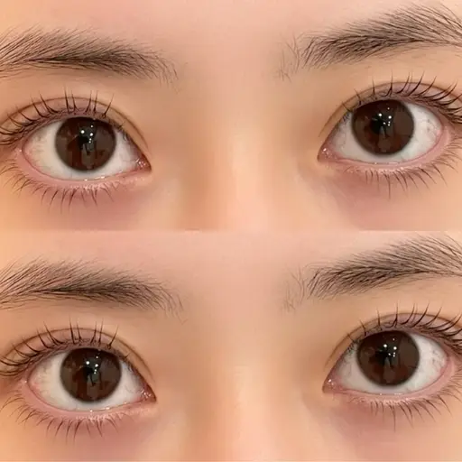 🎀minimo限定🎀上下まつげパーマ/コーティング仕上げ込み🎀¥8800🪄