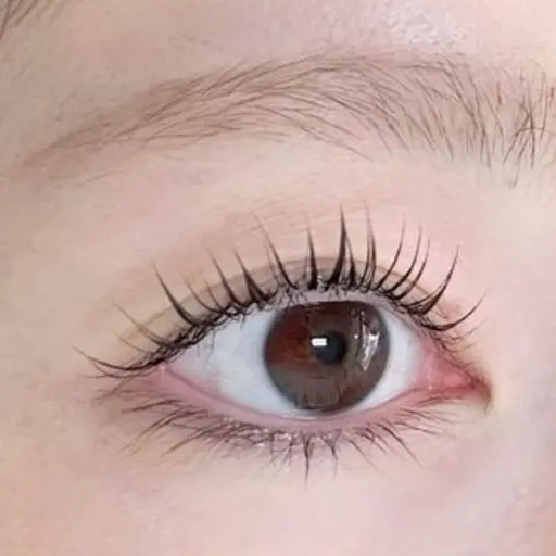 ✨️🤍パリジェンヌ🤍✨️