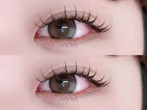 【モデル価格】フラットラッシュ100本