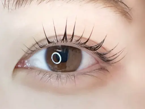 🚨当日限定クーポン🚨　まつ毛パーマ💞🎀＋高級💫コーティング付✨オフ込