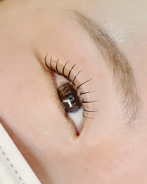 【3月残り5名⚠️】フラットラッシュ(80本) ¥6,050→¥0 ※注意事項を必ずご確認ください👀