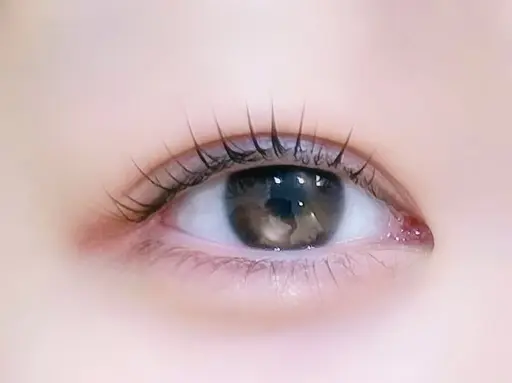 【12月限定໒꒱·̩͙】韓国風まつ毛パーマ＋アイブロウワックス(高級コーティング仕上げ)‎🩶