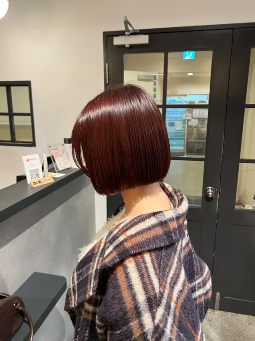 ワンカラー+カット(ショート不可)