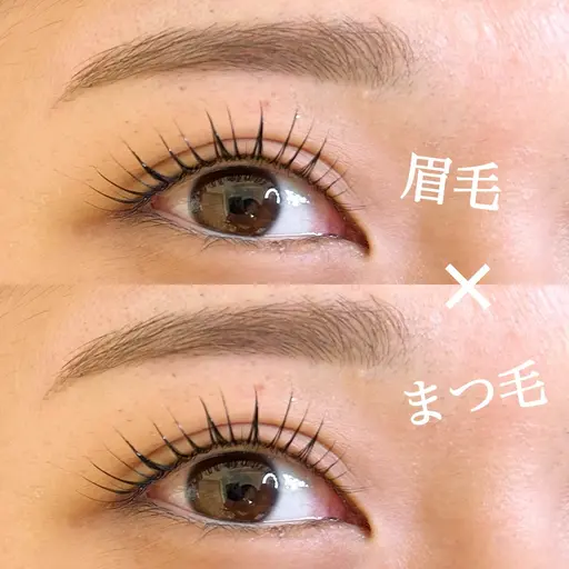 【平日限定】まつ毛パーマ×アイブロウワックス(間引きなし)🫧