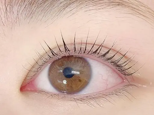 パリジェンヌラッシュリフト　5500円