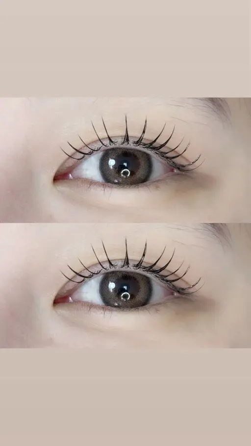 【モデル】シングル100本🪽‪フラット＋550円