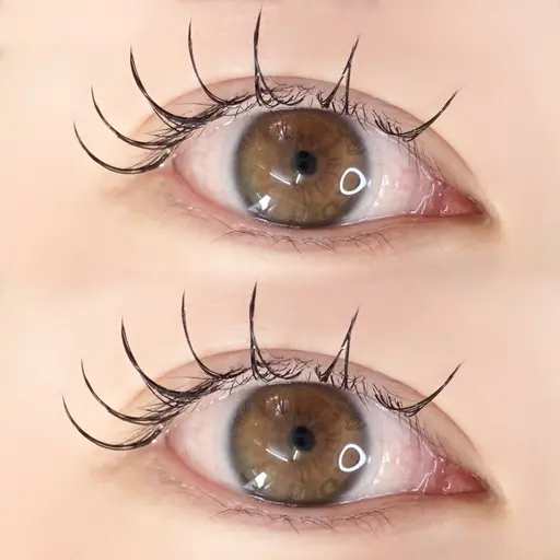 U-23様 限定/まつエクモデル様募集中🎀/〜80本/普通接着剤使用