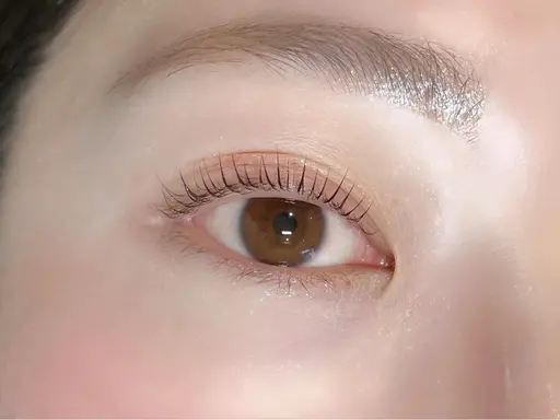 🎵上まつ毛パーマ+眉毛WAX🎵