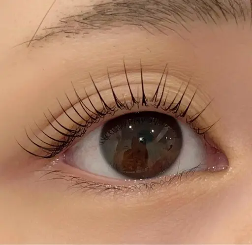 🦋personal lash lift🦋束感コーティング仕上げ※写真撮影必須※