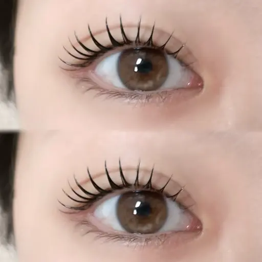 【当日予約限定‼️】マスカラパーマ⭐️ブラックティント使用🐈‍⬛🩶