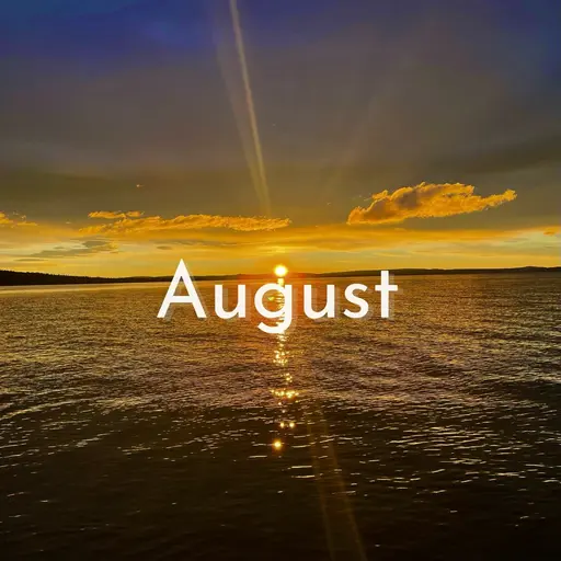 💫12/28,29,30限定💫VIOダブル脱毛(VIOブラジリアンワックス＋光脱毛VIO)◎初回4000円