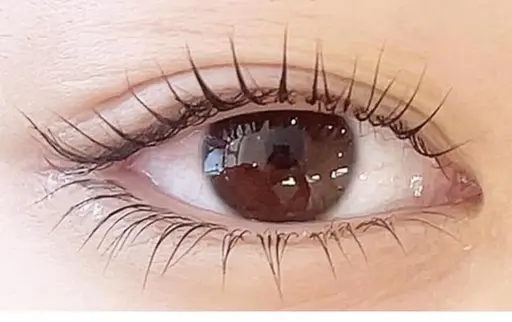 練習モデル🌸下まつ毛パーマ（口コミ投稿頂ける方限定🙂‍↕️🫧）