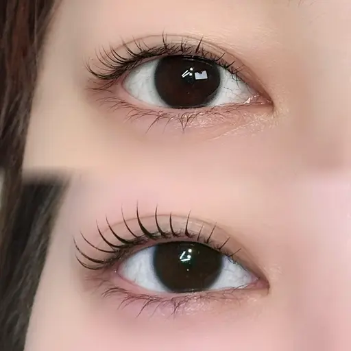 目元ぱっちり👀🎀上下まつ毛パーマ【美容トリートメントコーティング付き】🫧モデル様募集⚠️