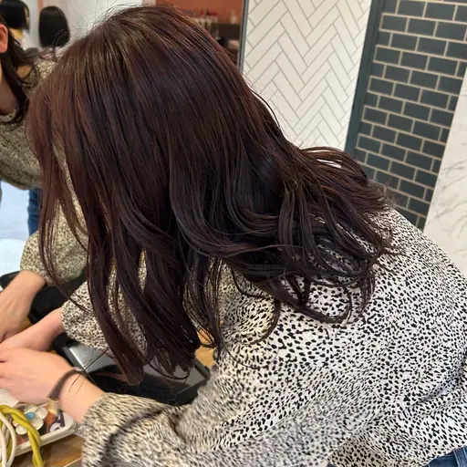 カット+カラー+スチーム付【9item】トリートメント