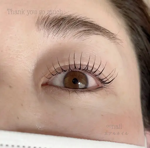 🧸期間限定🧸minimo限定ラッシュリフトモデル募集♡💴現金のみ1万札不可／未返信の方キャンセル扱いいたします