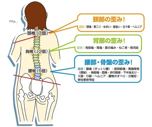 背骨、骨盤矯正1ヶ月受け放題