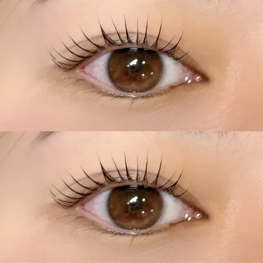 【minimo限定メニュー】SNSで大人気🎀マスカラパーマ🤍