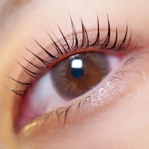 次世代パーマ！ ラッシュ リフト(上)