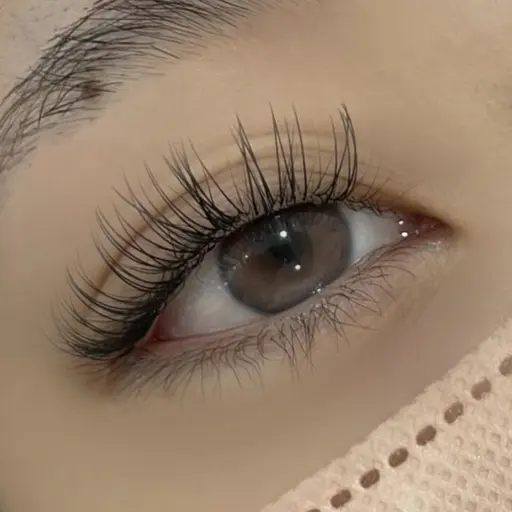 【 21日(日) 限定 】パリエク パリジェンヌ×エクステ(フラットラッシュ80本) オフ込み