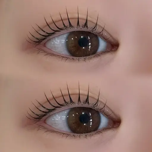 【🌟ミニモ限定🌟】メーテルラッシュリフト🪽⊹₊ ˚.⋆