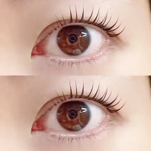 ミニモ限定　ラッシュリフト