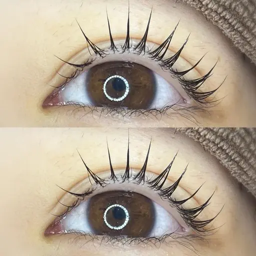 【ゲリラでお得❣️3/15限定】デザイン選べるまつ毛パーマ（ラッシュリフト）🎀