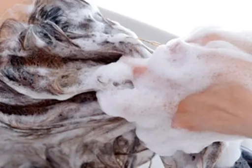 ワンシャンプー