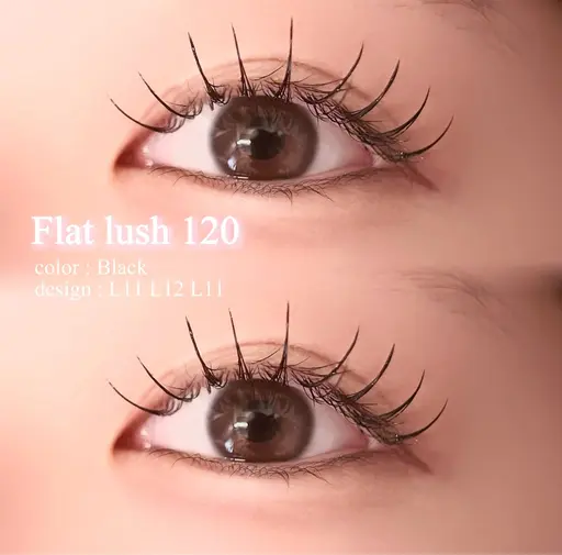 【オフ無しの方限定🪄】✨フラットラッシュ120本✨付け足し❌⚠️補足説明必読⚠️