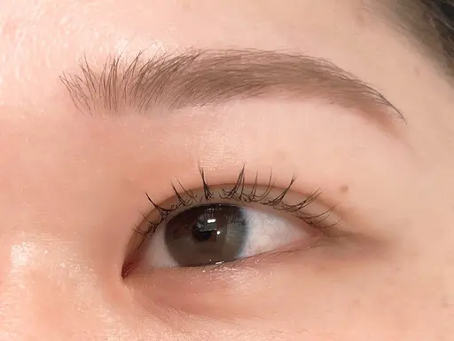 💠当日限定💠フラットラッシュ80​〜​100本