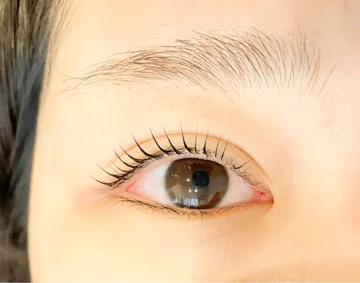 【本日限定】パリジェンヌラッシュリフト/デザインカール（CT/TR付)