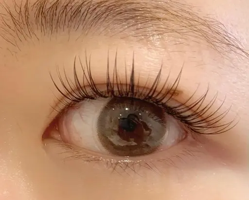 🎀ダブルフラットラッシュ80束🎀（シングルラッシュ160本程度）coating付き