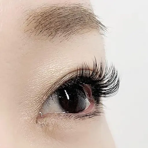 先着1名様限定　フラットラッシュ100本