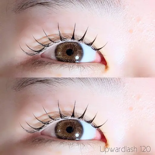 4月限定💖アップラッシュ120本🌸140本+800円/オフ+550円/リピーター様+550円/土日祝+550円