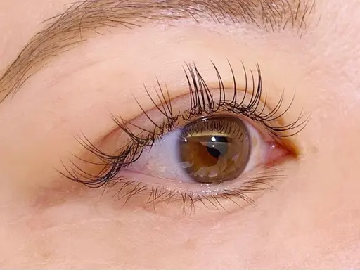 【当日限定】フラットラッシュ100本🫧