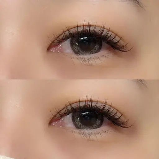 1月22日限定口コミ割 🎀LEDダブルフラットラッシュ80束