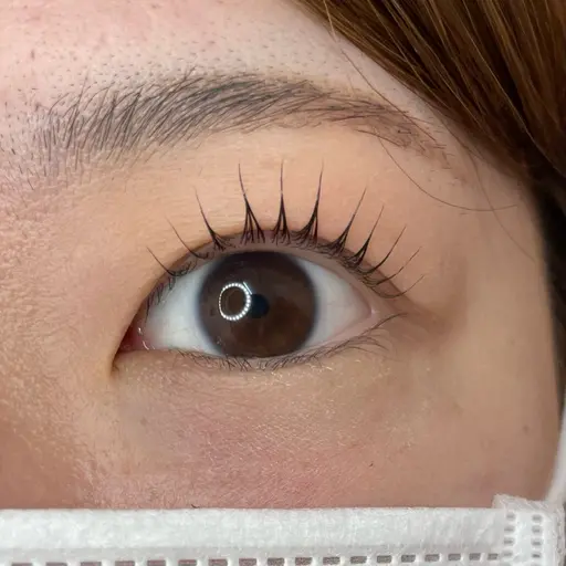 ご新規様のみ🎀ラッシュリフト