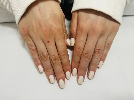 ハンド ワンカラー 【オフあり】