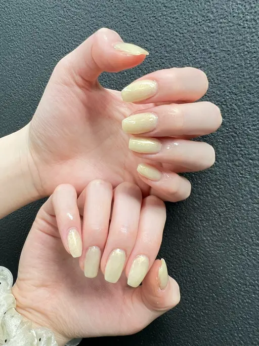 ワンカラー/ ラメ-グラデション/フラッシュ