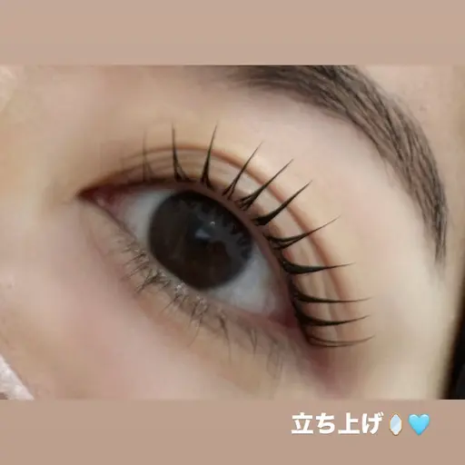 🫧まつ毛パーマ🫧※モデル募集になります。
