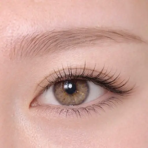 【初回】まつ毛エクステ＋眉毛スタイリング