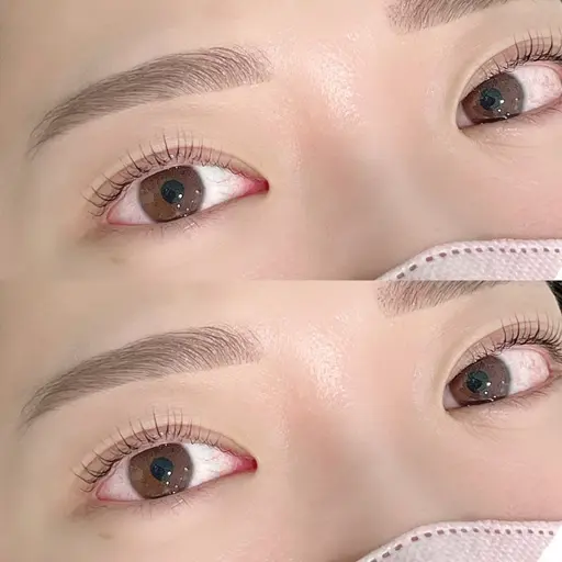 美眉スタイリング/アイブロウ/ワックス脱毛