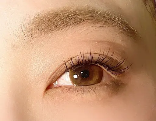 🌼 フラットラッシュ～120本 🌼