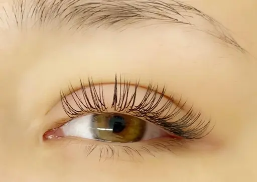 【オフ込】🦋フラットラッシュ100本🦋