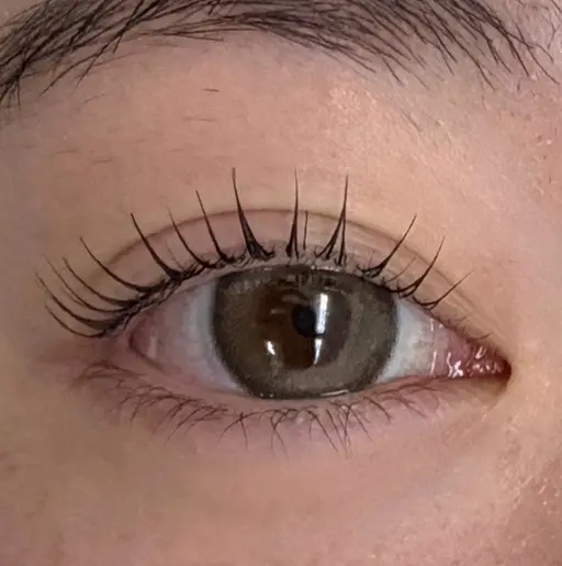 当日割引💫 Lash lift🫧 ¥7,700→¥3,000 ※写真撮影必須